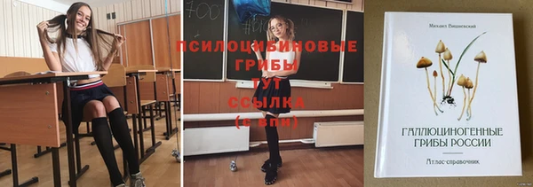 spice Волосово