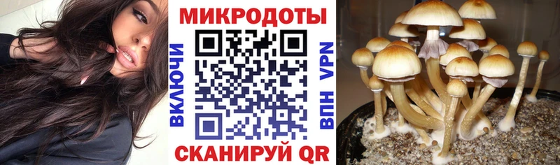 Галлюциногенные грибы GOLDEN TEACHER  Купить закладки  Власиха 
